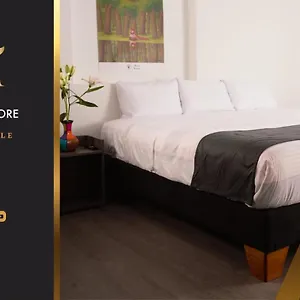 Montefiore Bogota