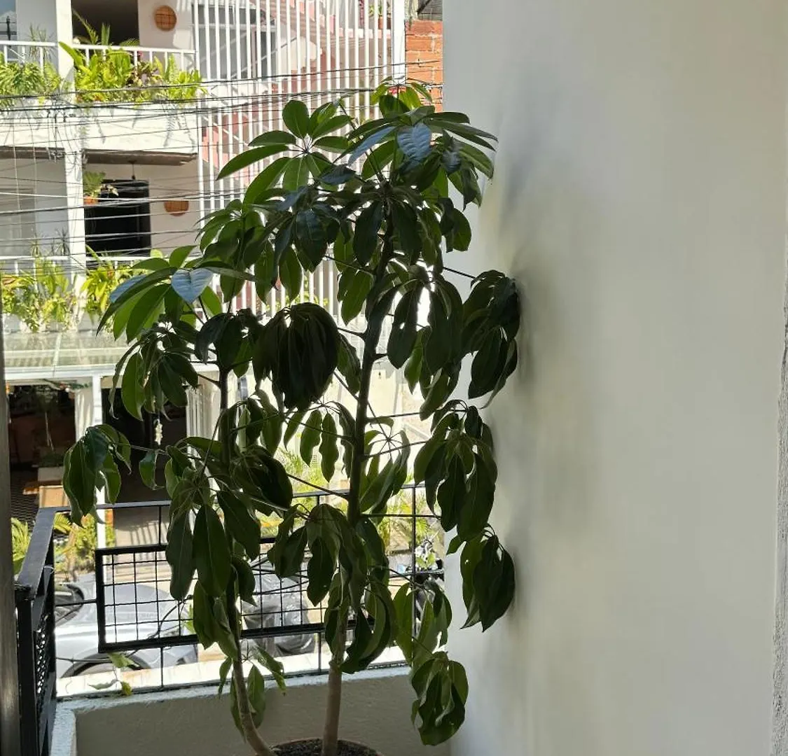 Luum Casa Hotel Manila Medellin 0*,